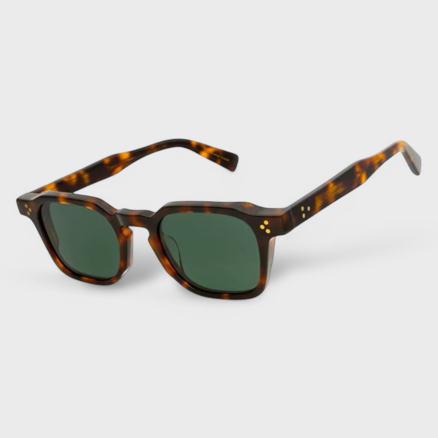 Orion | Tortoise
