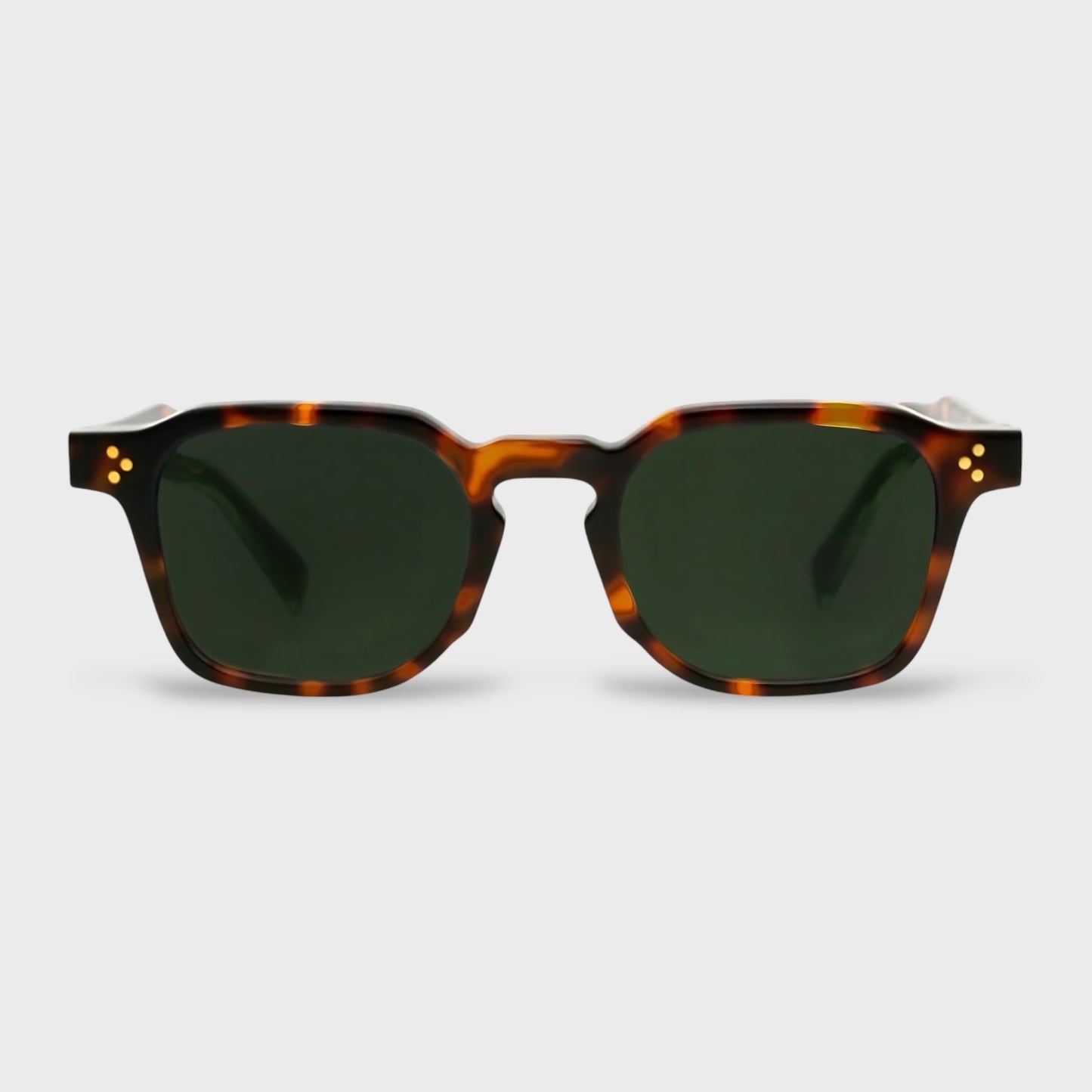 Orion | Tortoise