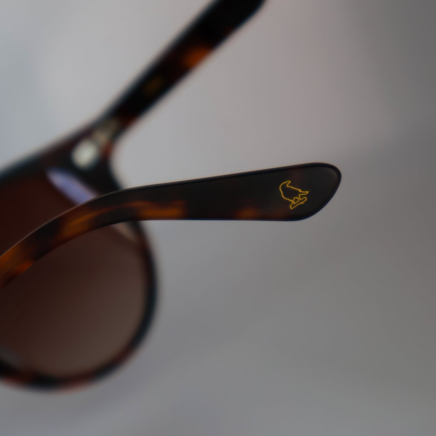 Cirqa | Matte Tortoise