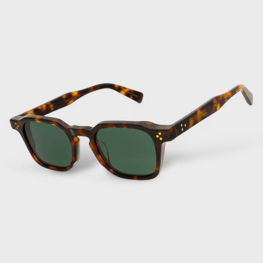 Orion | Tortoise