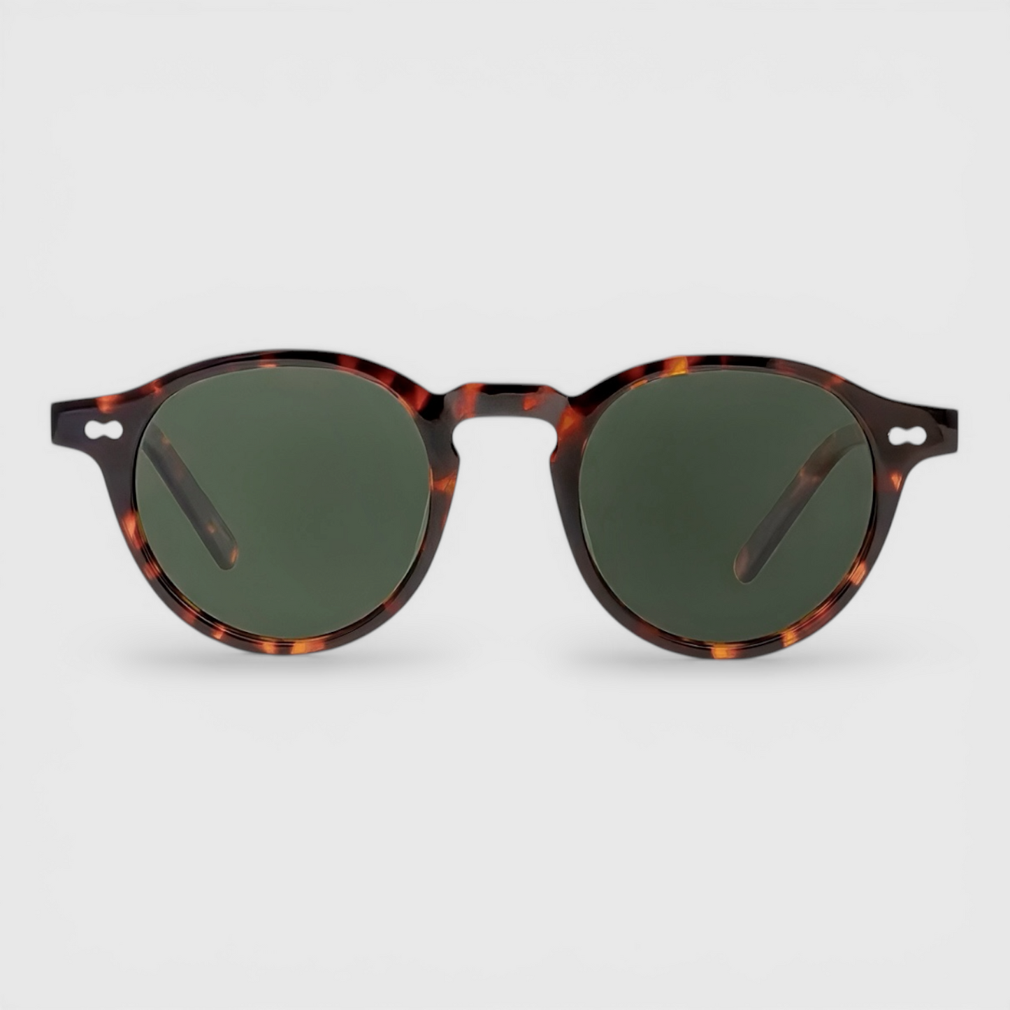 Havana | Tortoise