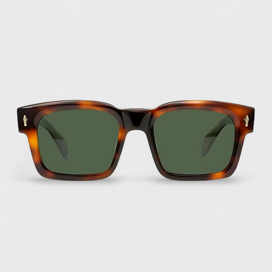 VANTA | Tortoise